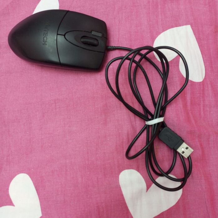 Мышка с проводом
