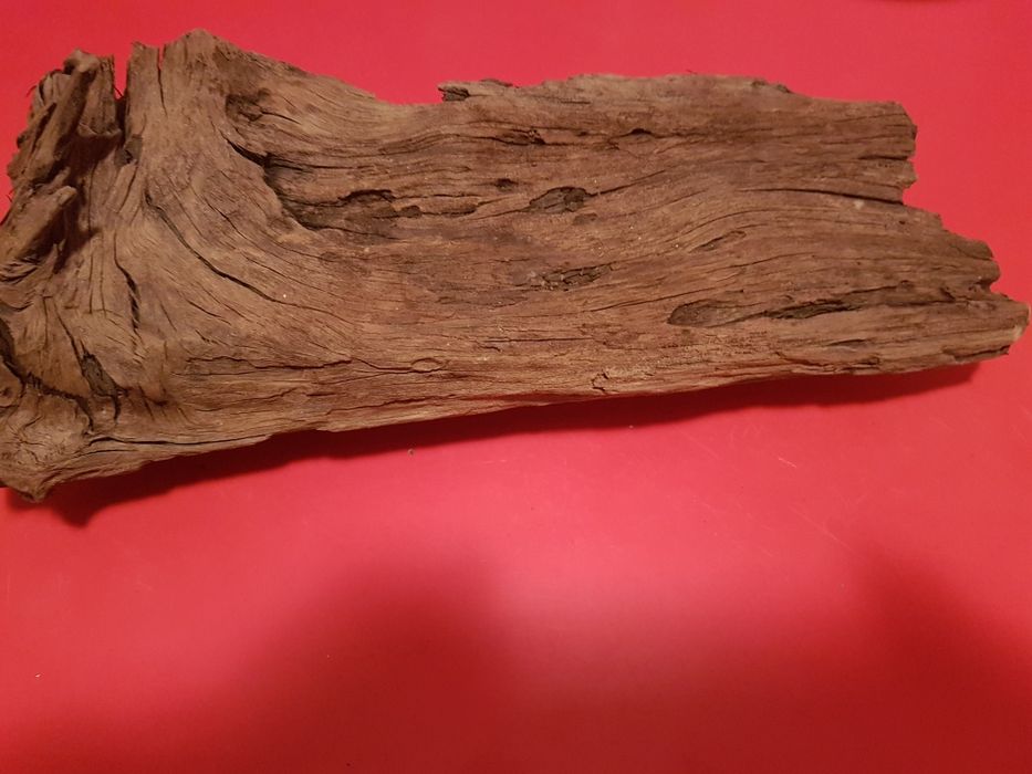 Vand 1  buturuga mahon ptr acvarii