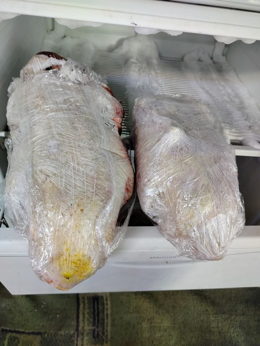 Продается мясо индоутки , домашнее , свежее , без ГМО , предзаказ