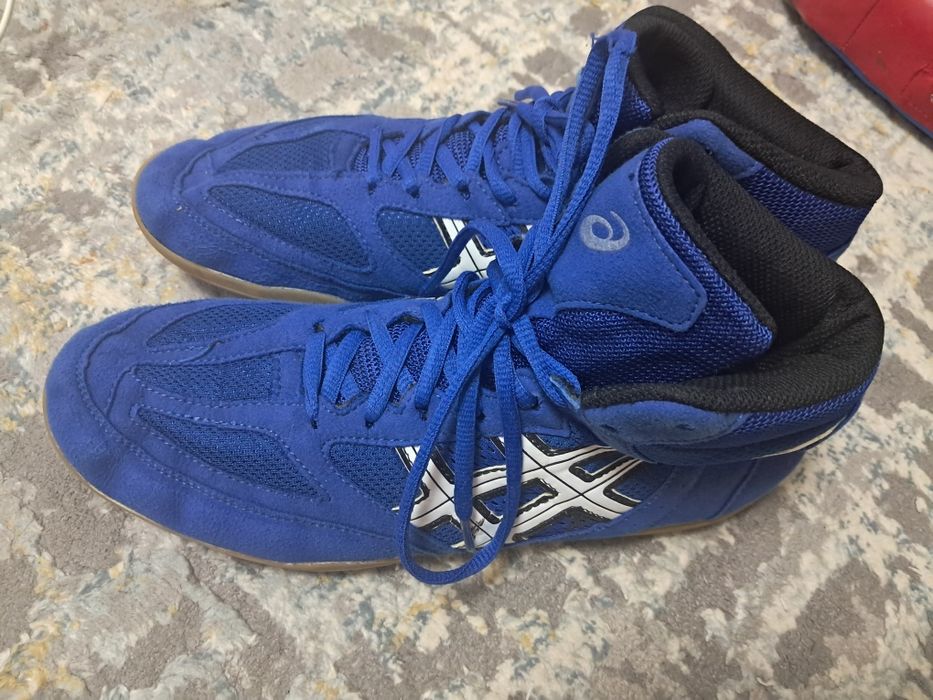 Борцовка шлем лапа