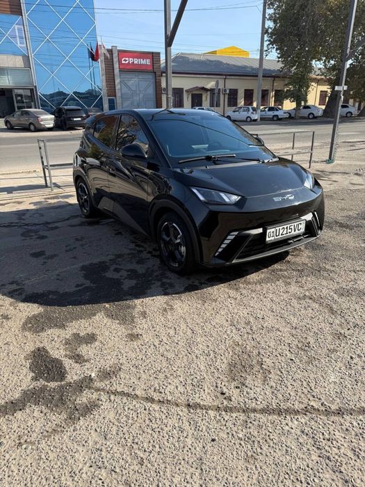 byd seagul mowina nahuadu