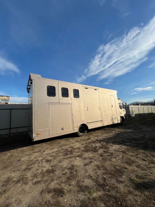 Man M02 Camion transport pentru 6 cai si dormitor 2 locuri