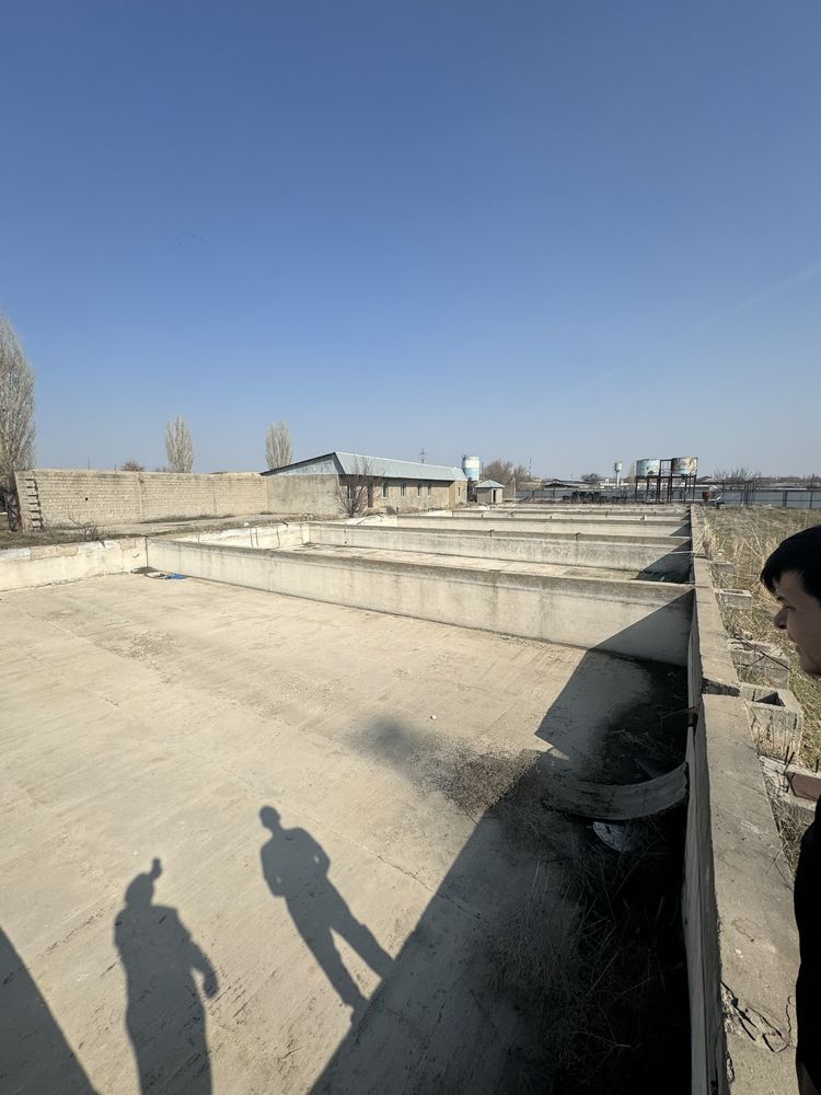 Продается рыбное хозяйство