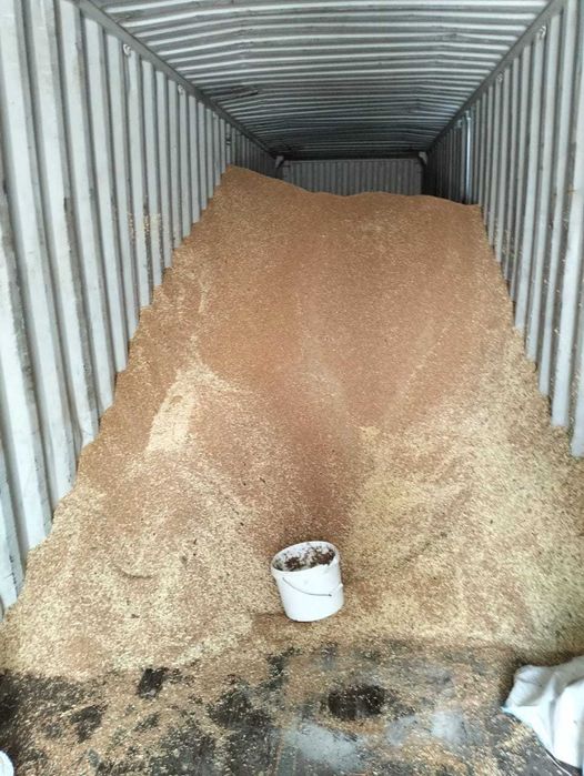 Пшеница хорошая в розницу в Колденен (Аксаковка)