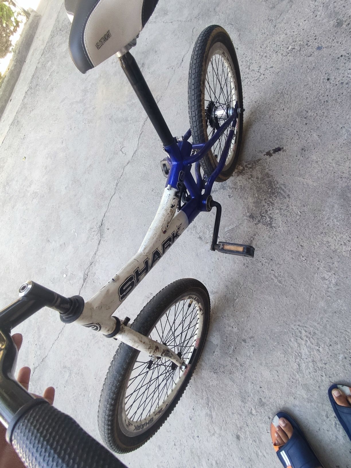 Velosiped zor Shark
