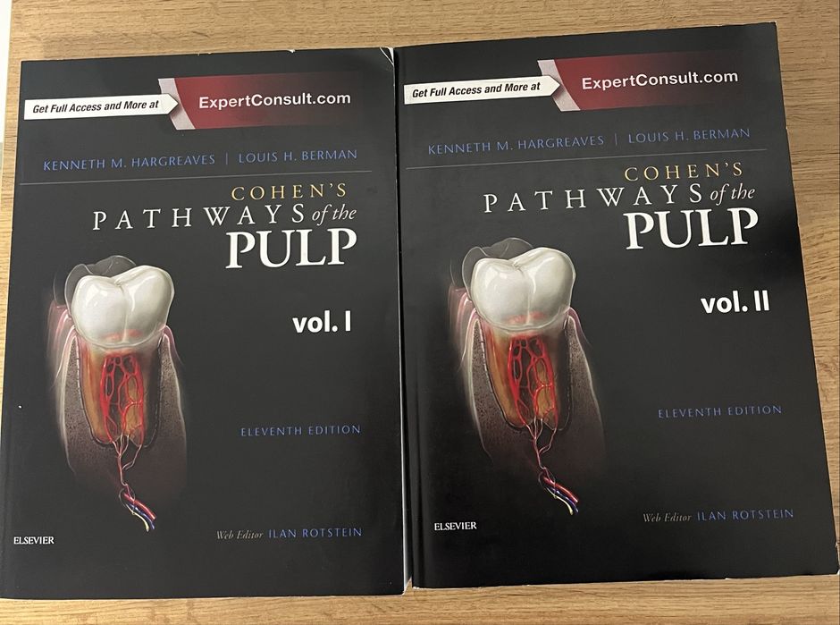 Cohen’s Pathways of the Pulp