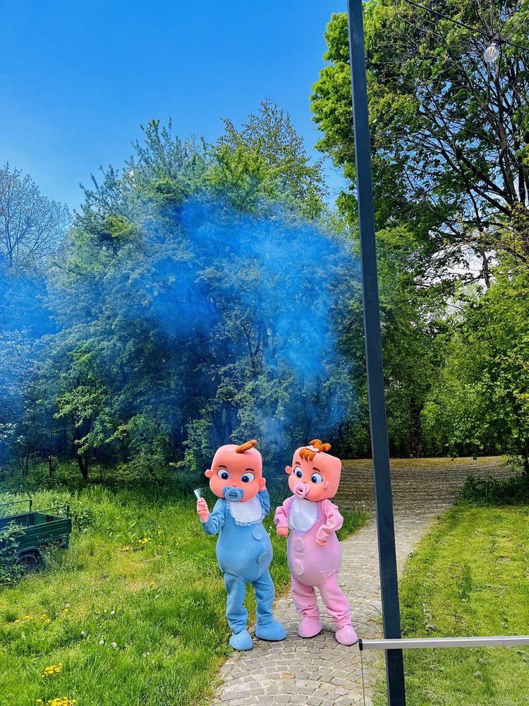 Gender Reveal cu mascote bebelusi