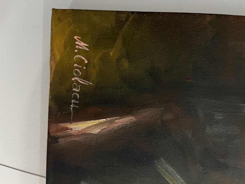 Tablou Marian Ciolacu