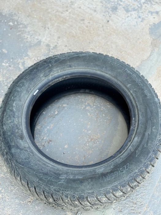 зимние шины шиповные