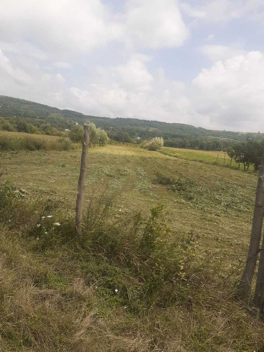 2 Terenuri - pozitii frumoase in Dobrovat - 120000 euro