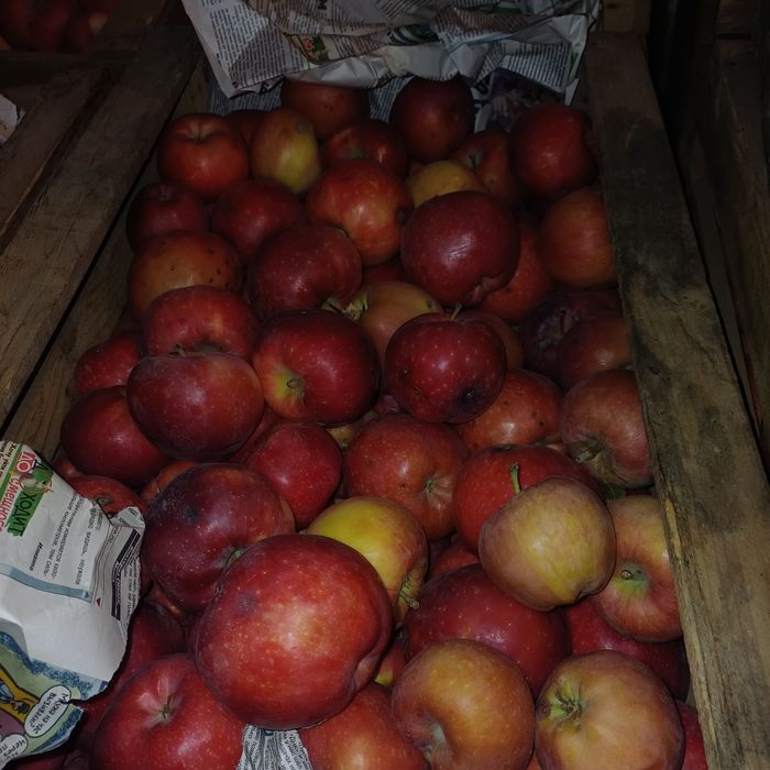 Продам яблоки 2 сорт.
