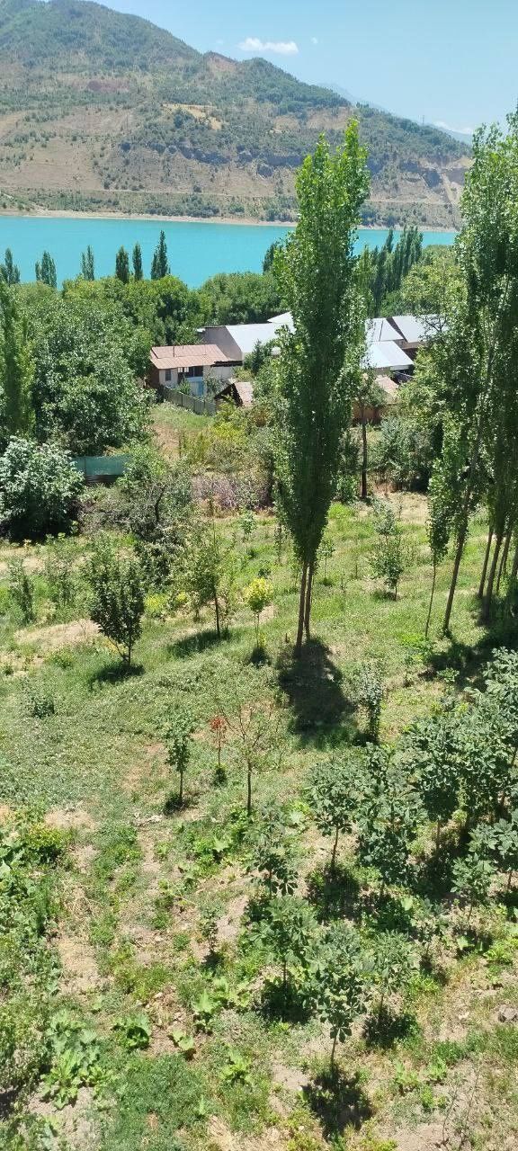 Прадайотса земля