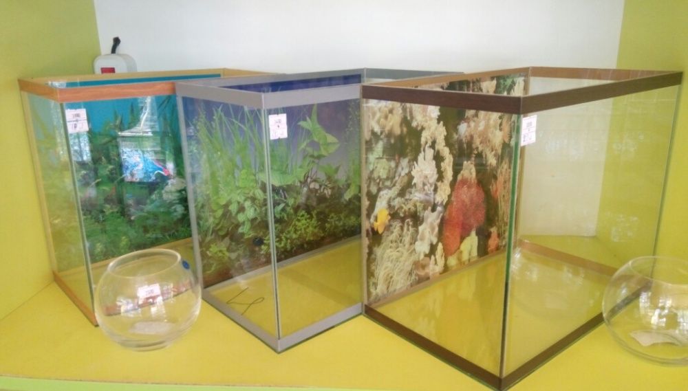 Аквариум на 15 литров