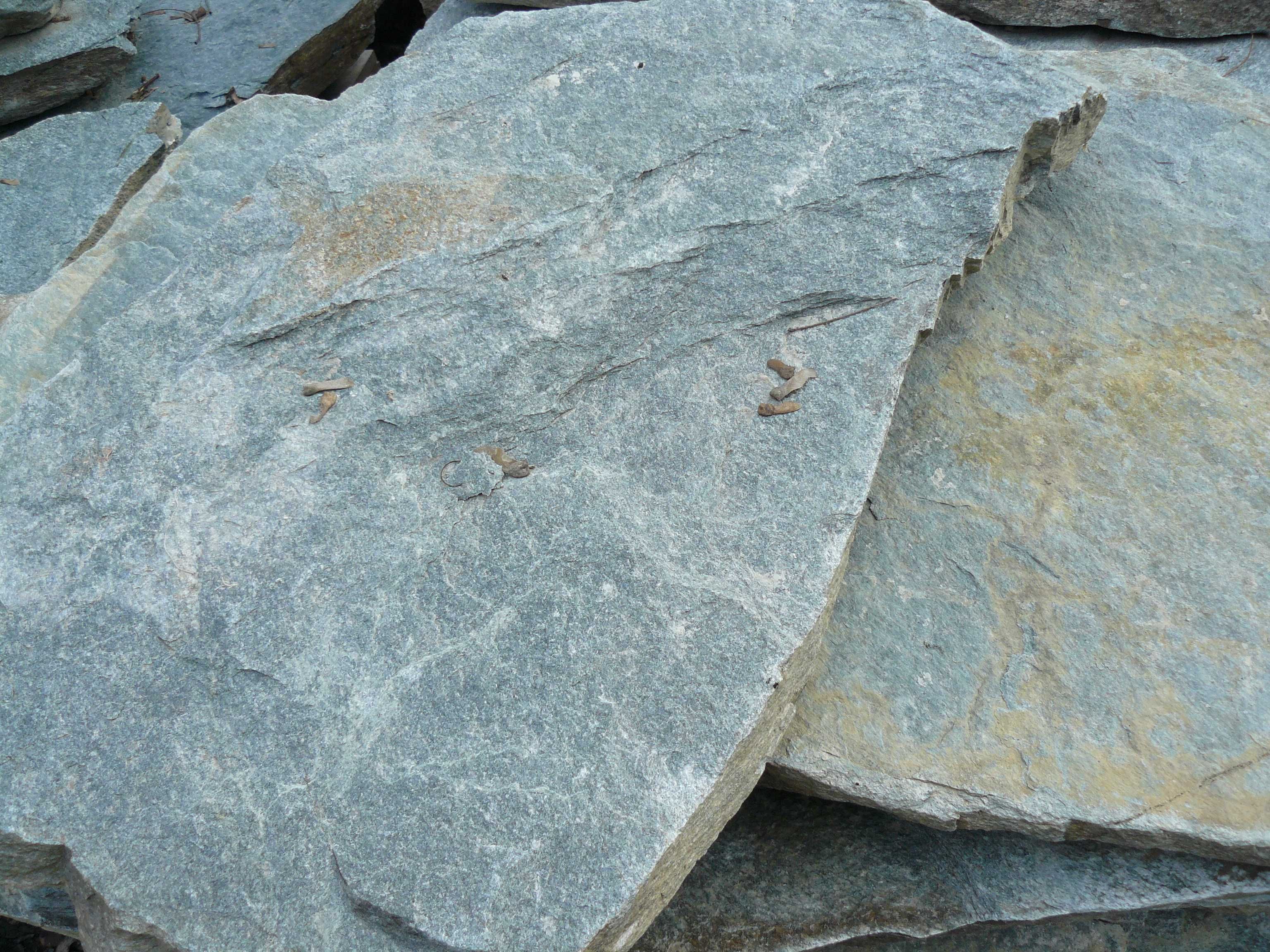 Vand piatra de placat granit romanesc autentic