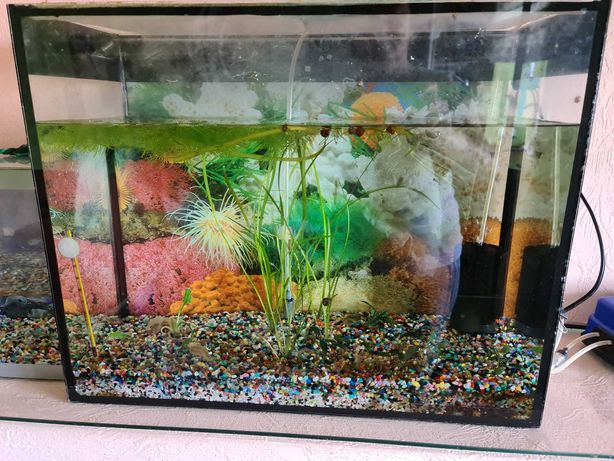 Продам аквариум для рыб из стекла