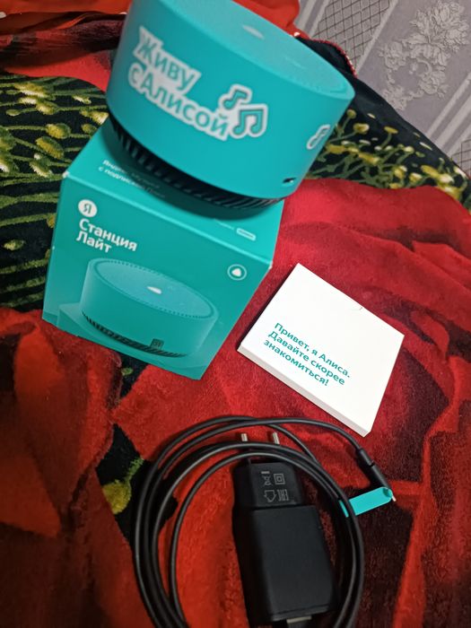 Alisa kolonka pochti yangi