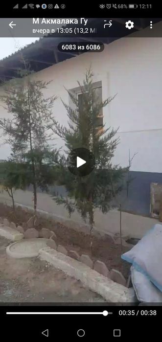 36000у.е АТП Олтин Тепа Тутзор 2 сотик 6 хона