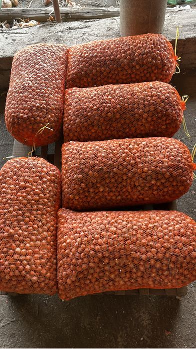 Vand Arpagic Romanesc