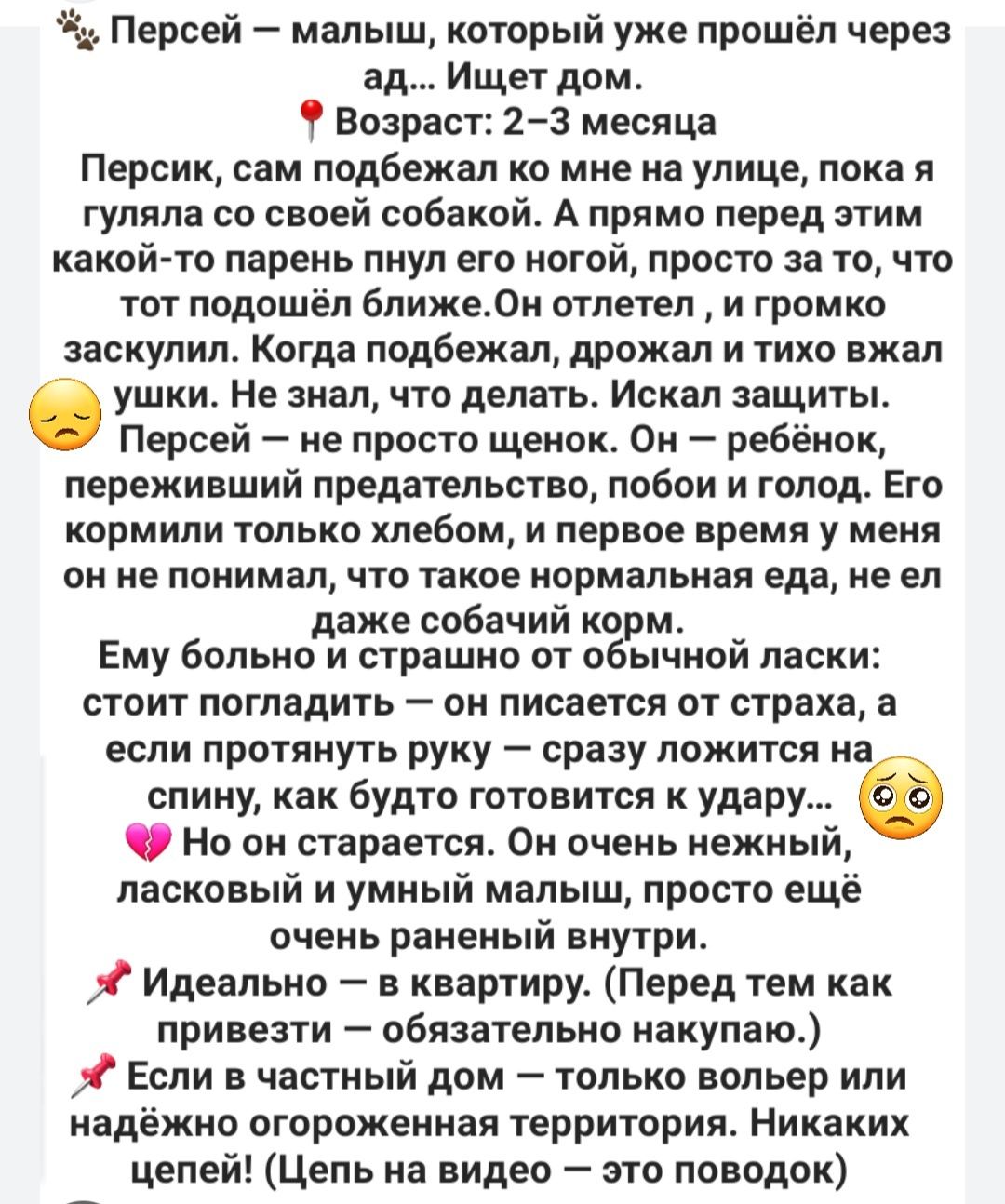 Щенок ищет дом!!!