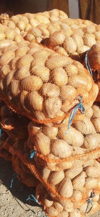 CARTOFI DE COVASNA 2 LEI KG .livram la domiciliu clientului