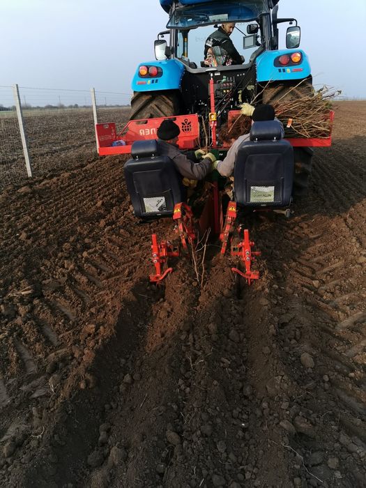 Infiintare plantatie mecanizat, plantatie  gps , infiintare livada