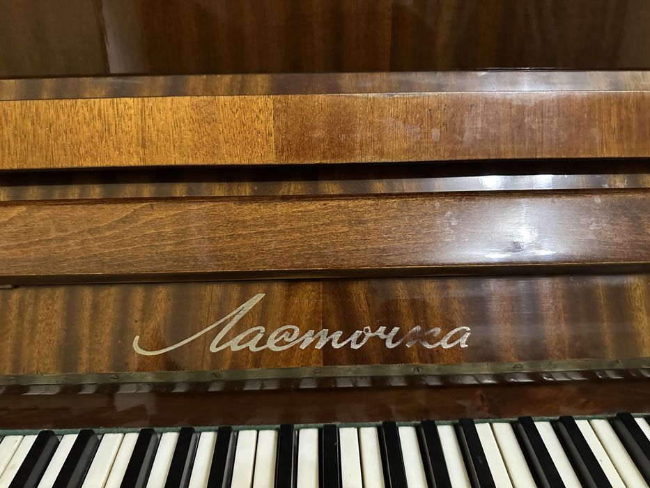 Piyanina lastichka yangi sastayaniyda