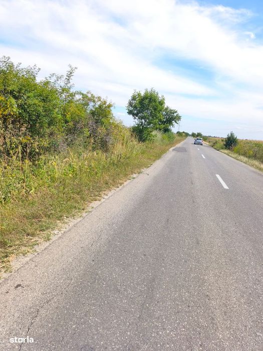 ROANDY - Teren de vanzare in Bucov