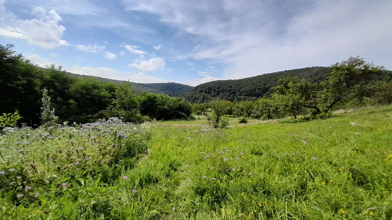 Teren intravilan frumos, 7km de Deva