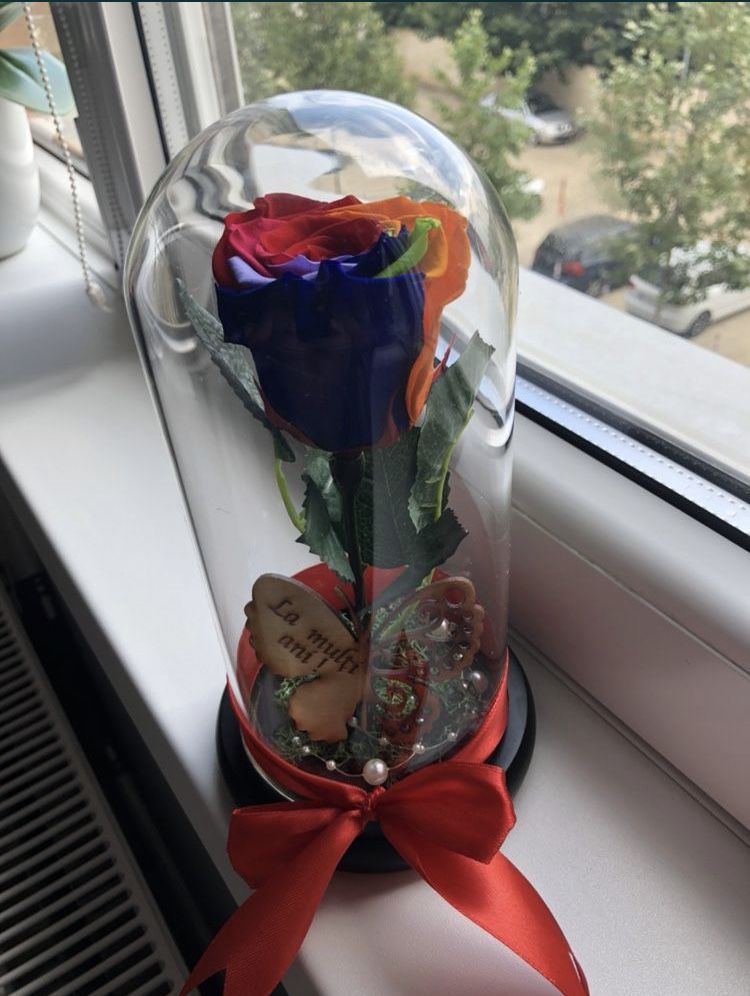 Trandafir criogenat in cupola cristalina
