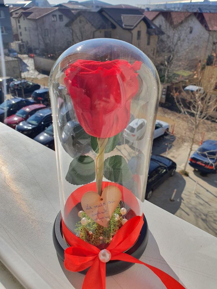 Trandafir rosu in cupola de 17-20-25 cm