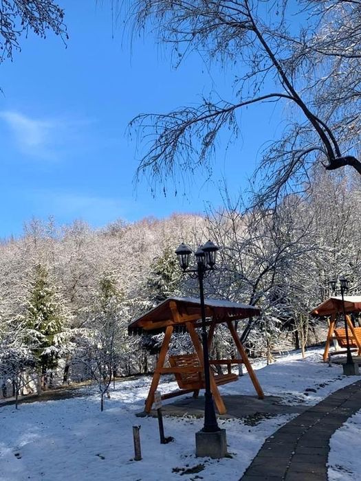 Oferta de Revelion 2026 : Vila Lac Resort Codrii Vlasinului Vanatori