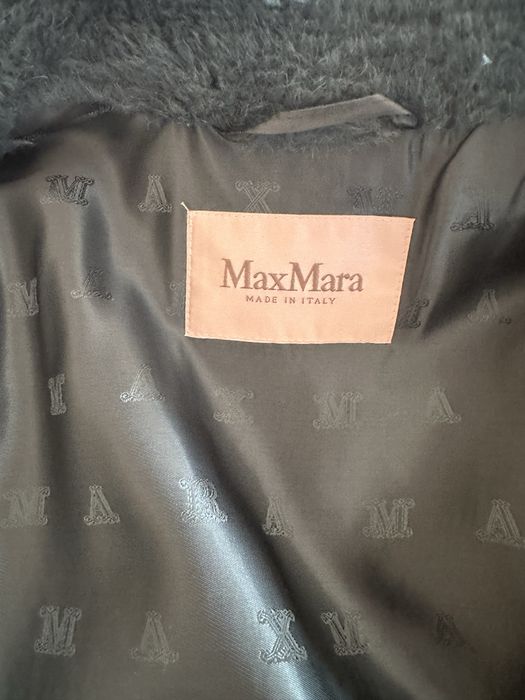 Vesta superba MAX MARA teddy bear