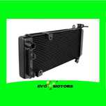 Radiator Kawasaki VERSYS 650 650ABS 2015-2022 A1347