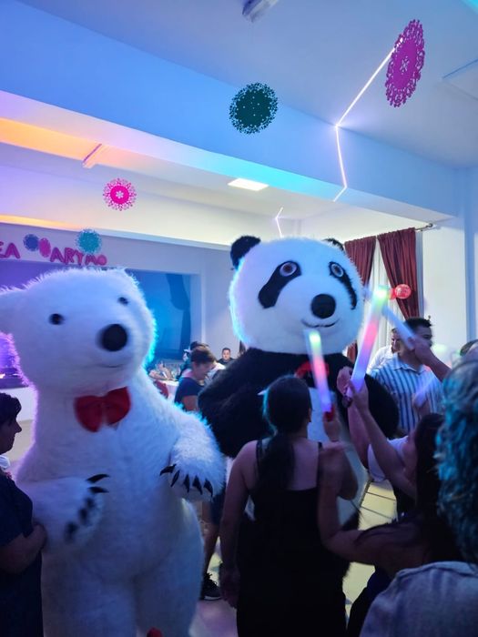 DJ evenimente //Fotograf//Mascote