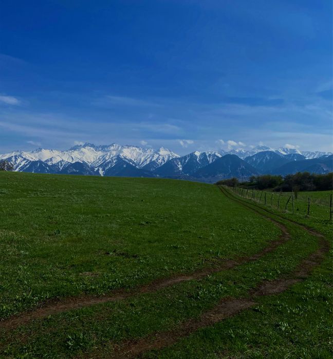 Срочно продам шикарную землю