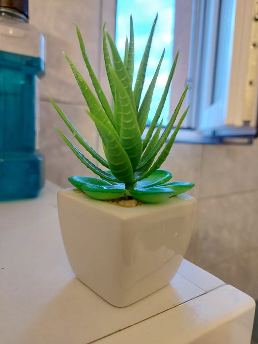 Ghiveci decorativ