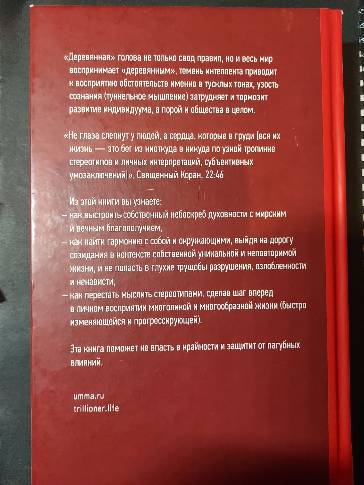 Книга "Как увидеть Рай" Шамиль Аляутдинов
