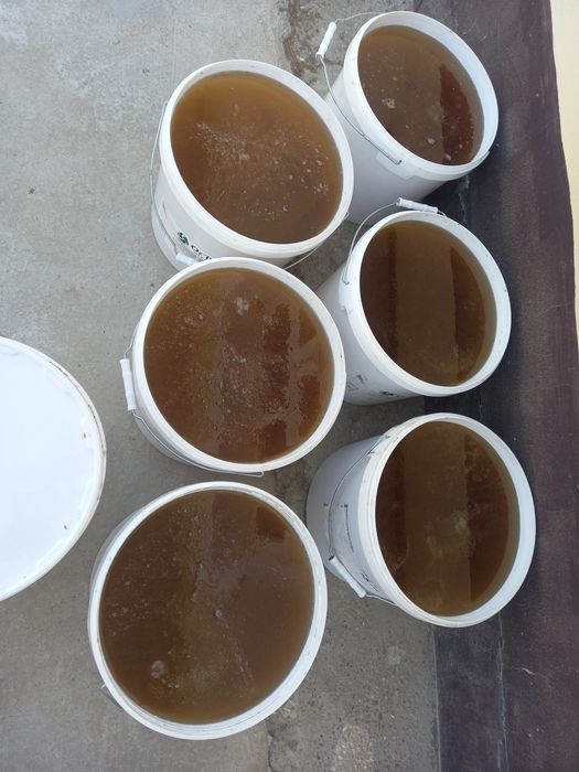 Tabiiy usulda xar xil gul, o‘simliklardan olingan asallar mavjud