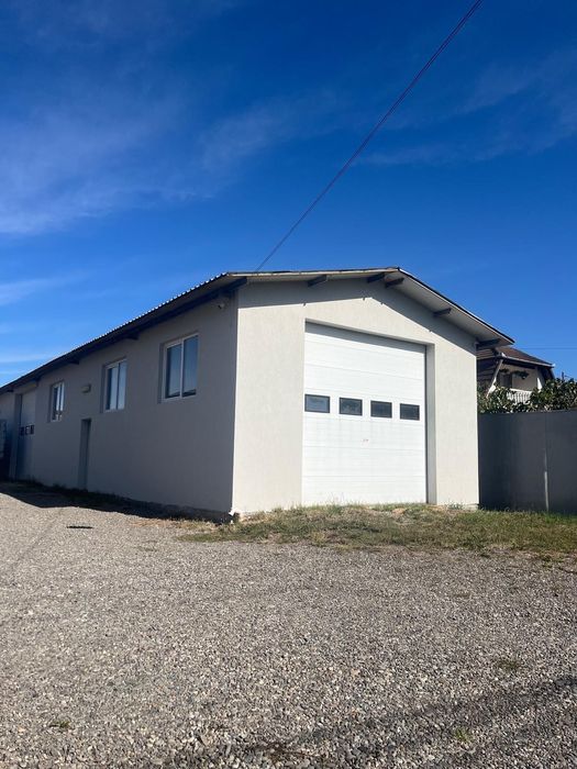 Hala de închiriat Reghin