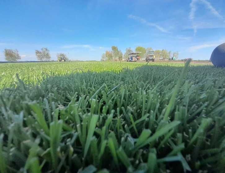 Gazon Rulou, Sisteme de irigare