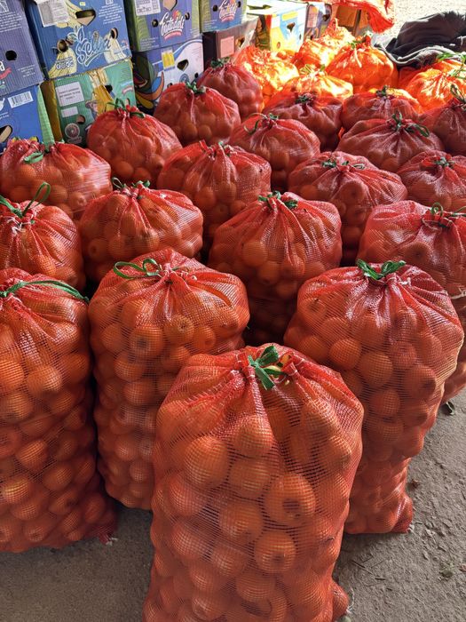 Продам яблоки оптом и мешком