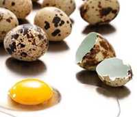 Перепелиные яйца оптом и розницу 100%халал