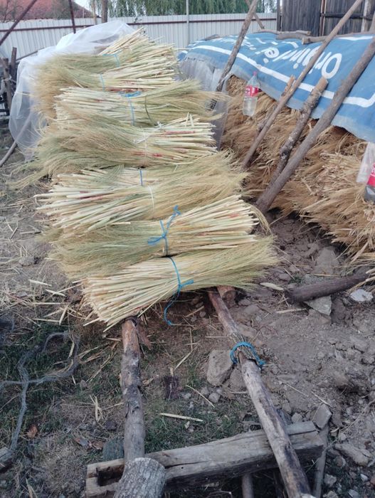Vând sorg sau tătarcă
