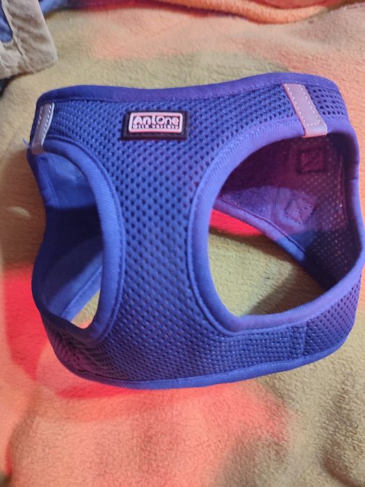 Vând ham pentru căței de talie mică