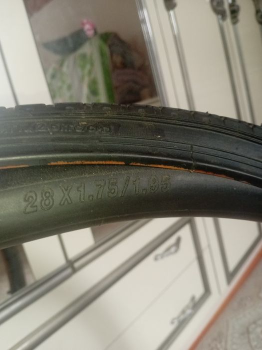 Великтің пакрышка