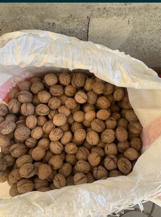 Грецкий орехи