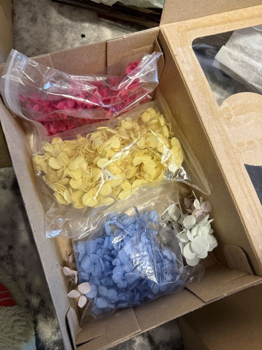 Kit intreg penteu arangamente cu trandafiri criogenati