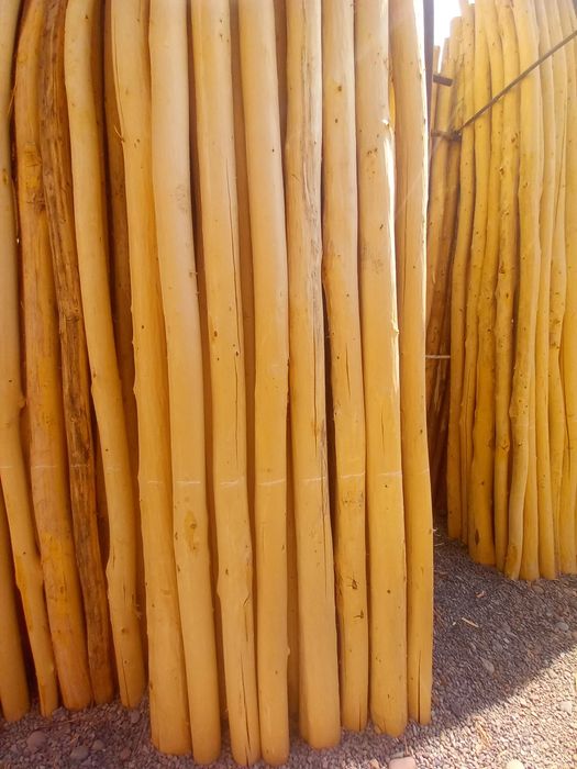 Арзон тераклар бор