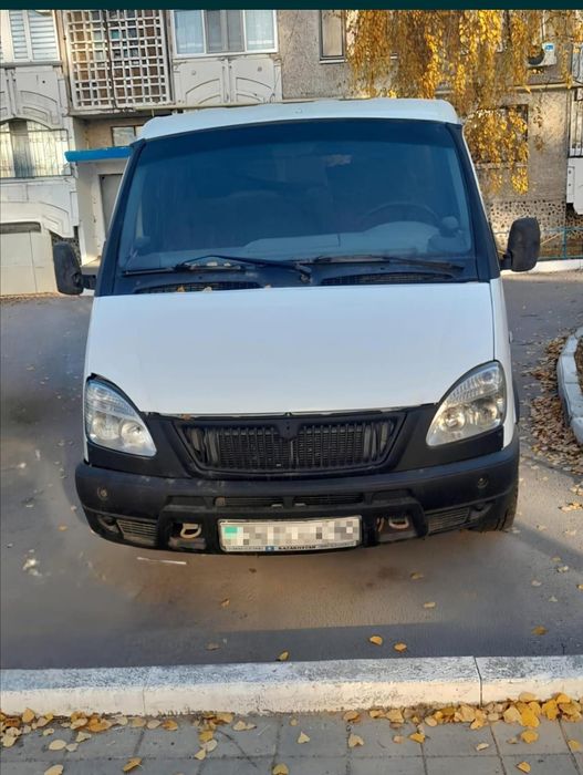 Продам соболя или обмен на легковой автомобиль