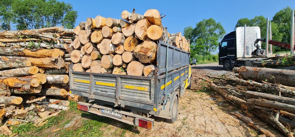 Lemne uscate pentru foc